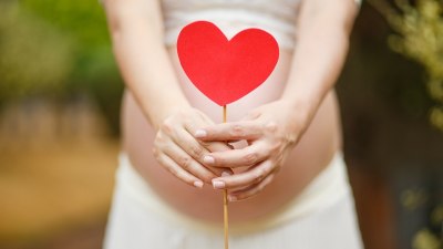 Бременността и сърцето: Кога бъдещите майки трябва да потърсят кардиолог