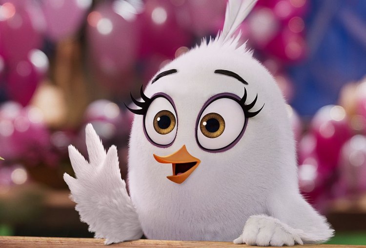 Грижовна своенравна или свободолюбива Разбери каква птица си и от