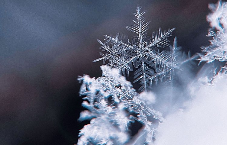 Камдън Ню Джърси САЩ 1980 година Изоставени къщи затворени заводи