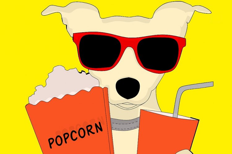 Мандалорианецът The Mandalorian оглави класацията на най пиратстваните сериали на 2020