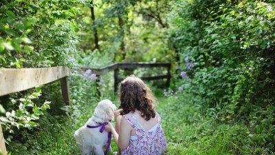 Проучване: Кучетата намаляват риска от хранителна алергия у децата