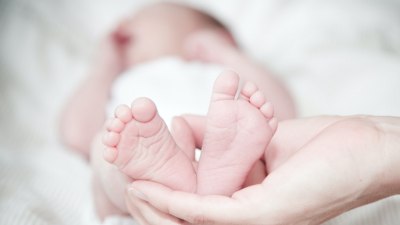 Принцът на Монако Албер Втори се оказа нетърпелив да съобщи за появата на нов член на кралското семейство