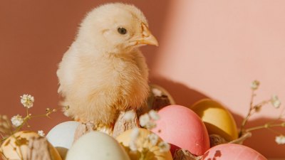 Великден в миналото: Месили ли са българките козунак и как са боядисвали яйцата