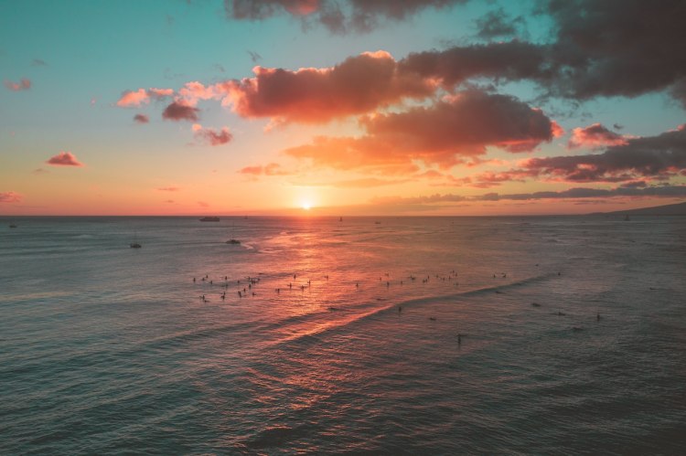 Хавайските власти заградиха участък от плаж на остров Оаху, за