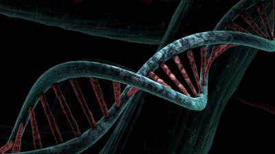 Откриването на двойната спирала на ДНК: Жертва или сътрудник е била Розалинд Франклин?