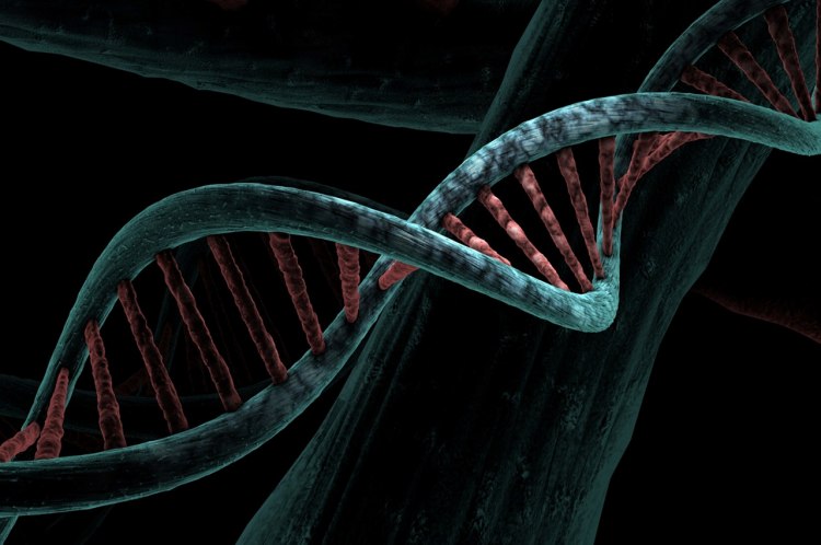 Откриването на структурата на двойната спирала на ДНК преди 70