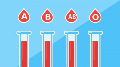 Да дарим живот: 10-те най-важни въпроса за кръводаряването и техните отговори 