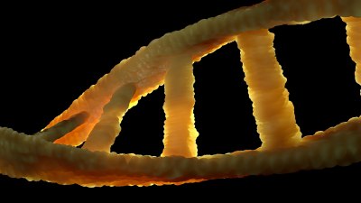 Извлякоха древна ДНК от праисторическо бижу