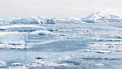 "Ако ледниците изчезнат": Бързи и понякога необратими промени настъпват в криосферата