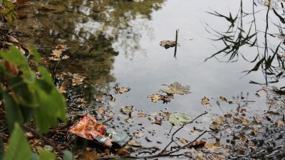 Работилници, прожекции, игри за деца и фотоакция във Варна за Световния ден без найлонови торбички