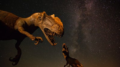 Предшественици на хората са оцелели след астероида, убил динозаврите