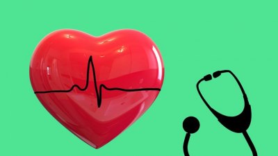 Какво е „бавно сърце“ и кога подсказва проблем 