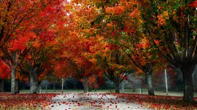 Най-красивите градове за посещение през есента в света