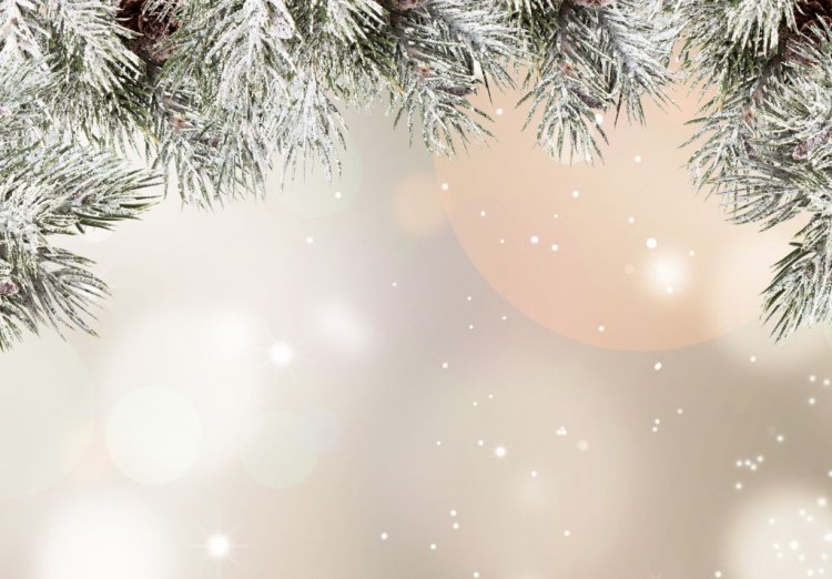 ТЕСТ: Кое твое коледно желание трябва да се сбъдне?