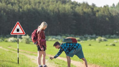 Защо насекомите винаги намират точно този човек, който не понася природата