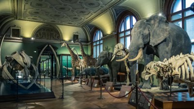 Музеи, в които наистина ще искате да прекарате целия ден