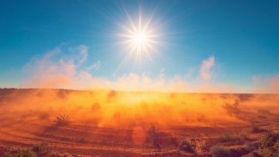 Колко опасни могат да са летните вируси и как да се предпазим?