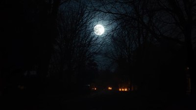 Защо обичаме да се плашим? Психологията зад Хелоуин