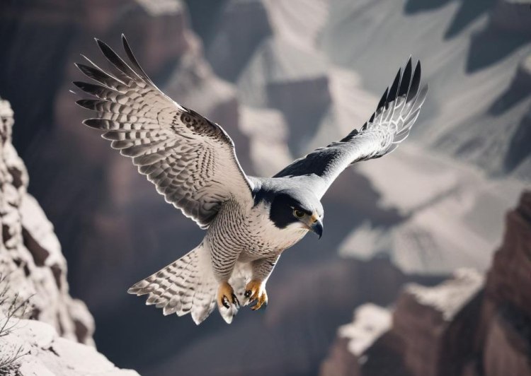 Коя е твоята духовна птица според месеца на раждане  