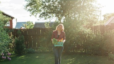 Туристически неволи: Да тръгнете по „пряк път“ и да се озовете в нечий двор
