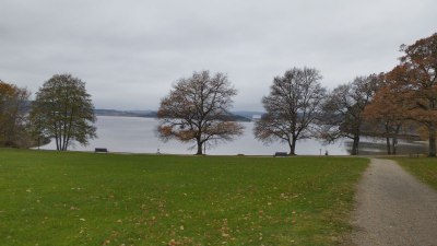 Какво предсказва рождената ти дата за идната година – нумерологичен поглед