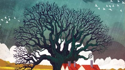 Роман за неувяхващата надежда: &bdquo;Прокълната земя&ldquo; от Клеър Лесли Хол (предложение за четене)