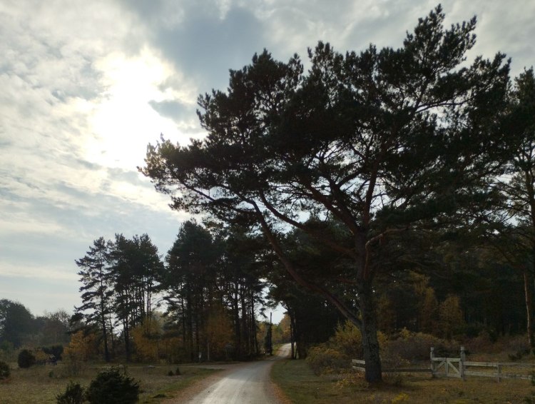 ТЕСТ: Каква е твоята персонализирана прогноза за времето? Открий климата на своята душа!