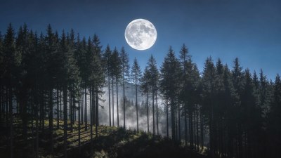 Лунната диета: Кога тялото ни само иска да се пречисти?