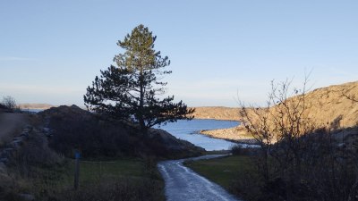 Приятните за очите гледки се обработват по-лесно от мозъка