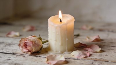 Активист, вдъхновител и любим певец: Хари Белафонте почина на 96 години 