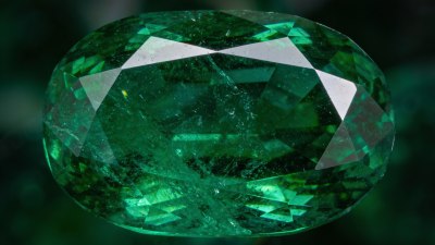 Цветът на 2013 година