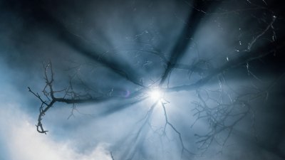 Какво е Мамник: Между древния български фолклор и магията на Васил Попов