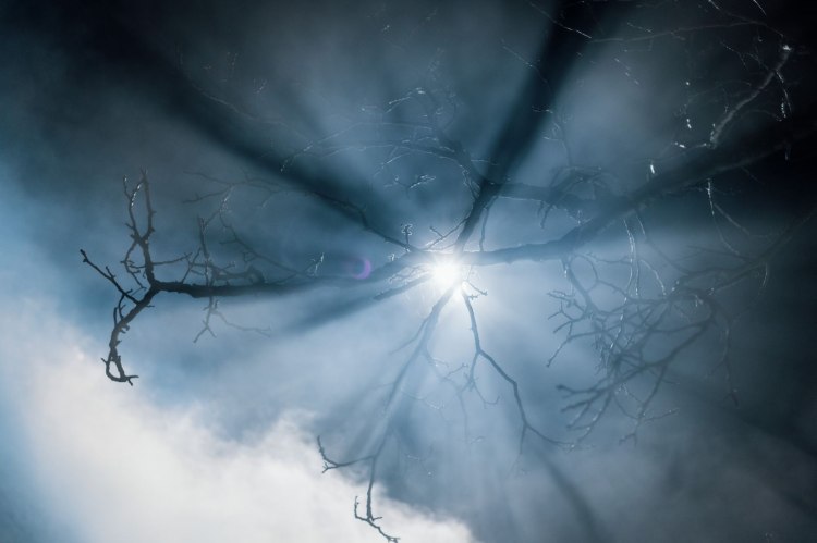 Какво е Мамник: Между древния български фолклор и магията на Васил Попов