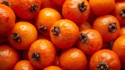 Учени твърдят, че са открили нова суперхрана, богат източник на антиоксиданти