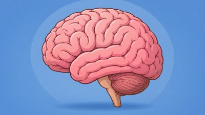 Учени откриха два отделни подтипа на аутизъм в мозъка