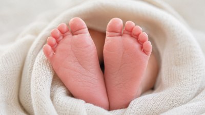Еднояйчни четиризначки се родиха в Австралия