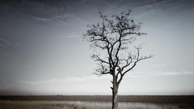 Самотата влияе не само на психическото, но и на физическото здраве