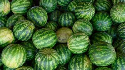 Рекорд за Гинес &ndash; жена размаза три дини с бедра за 14 секунди 