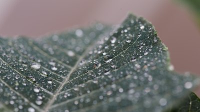 Какво означава влажността на въздуха и как влияе на усещането за температура