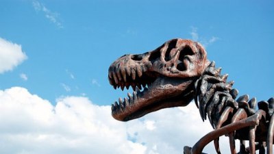 Странни динозаври бродели из древна Америка