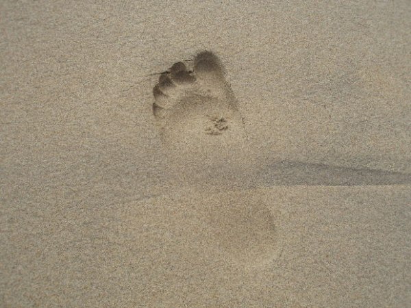 Независимо дали попитате ортопед физиотерапевт или масажист всички ще ви