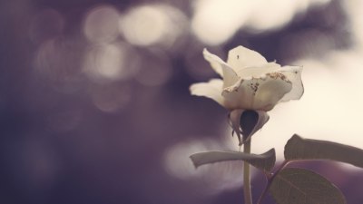 Почина авторът на &bdquo; Ain't No Sunshine&ldquo; Бил Уидърс