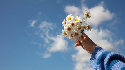 15 забавни истини за живота, които научаваме по трудния начин