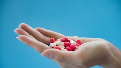 Проучване: Употребата на антибиотици и антимикробната устойчивост при хората и животните са свързани