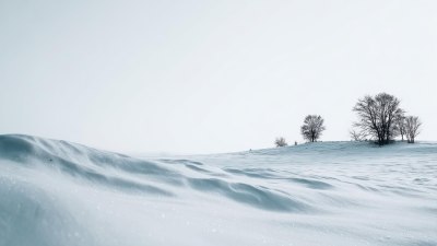 Как е оцелял първобитният живот на &bdquo;Снежната топка Земя&ldquo;