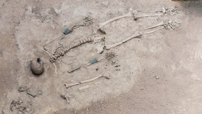 Човешките кости &bdquo;разказват&ldquo; историята на света