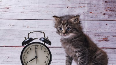 Смяна на часовото време: Местим стрелките на часовника 