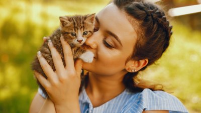 Между мъркането и хормоните: Науката разкрива тайната на връзката с котките