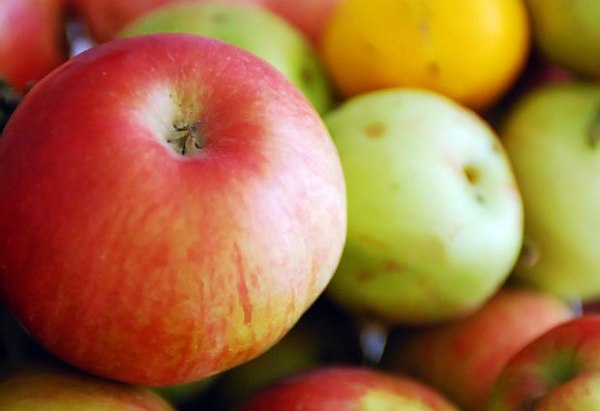 Учените откриха нови данни за полезното въздействие на ябълките върху