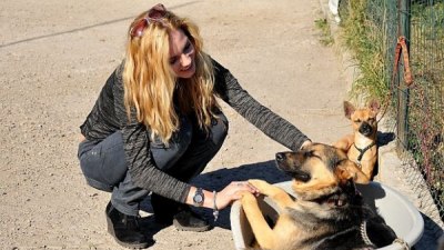 Мис България 2013 подари къщички за кучета на приюта в Богров